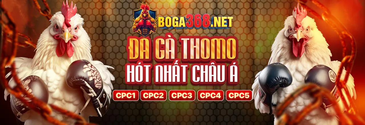 Hướng dẫn cá cược iwwin chi tiết